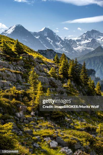 alpine landscape, eiger, moench and jungfrau, mountain peaks, jungfrau region, grindelwald, canton bern, switzerland - berner alpen stock-fotos und bilder