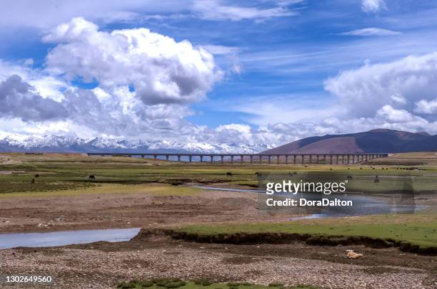 railroad bridge to lhasa in tibet, china - railway in the tibet stock pictures, royalty-free photos & images