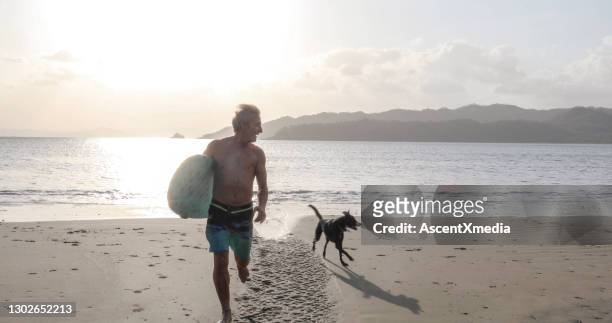 man and dog walk down sandy beach at sunrise - dog looking down stock pictures, royalty-free photos & images