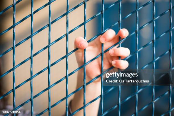 a child's hand hooked on a blue metal fence - cage stock pictures, royalty-free photos & images