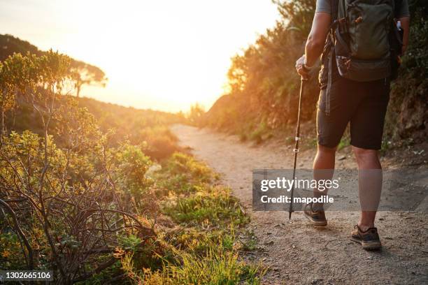 trekking has always been a favourite pastime of mine - calf human leg stock pictures, royalty-free photos & images