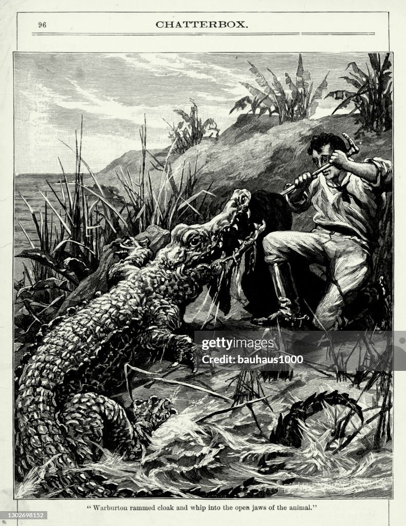 Antique Engraving: Alligator Attacking a Man Victorian Engraving