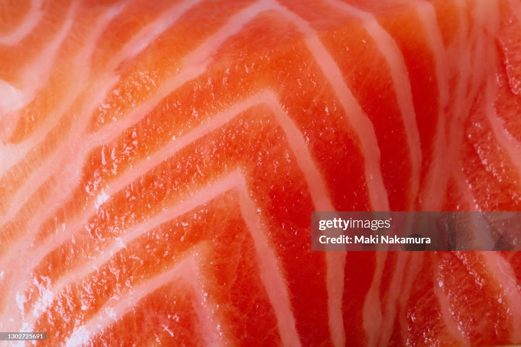 Salmon close-up