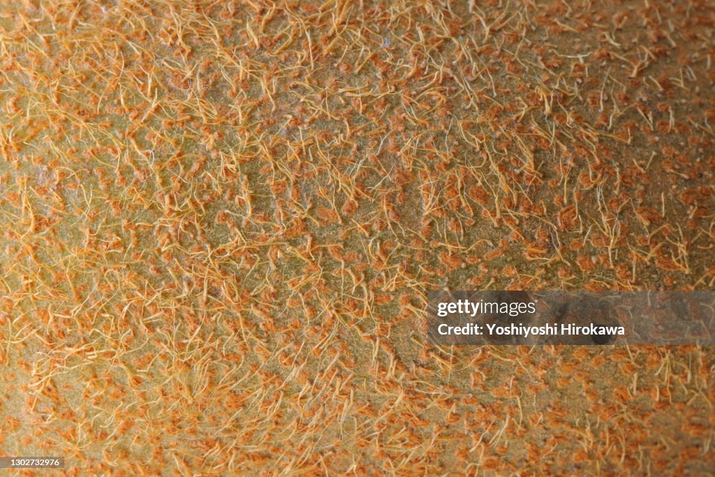 Close-up of surface of kiwi