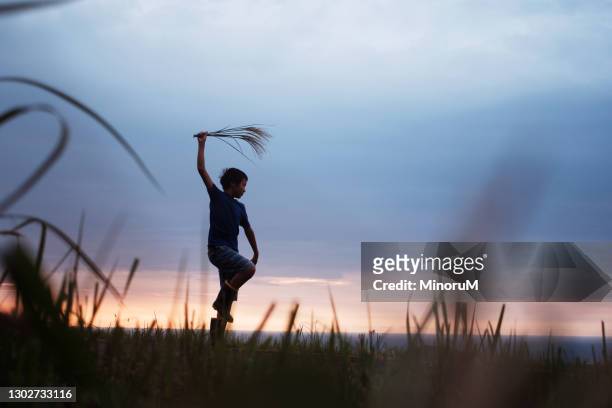 boy's silhouette dancing in the morning glow - bright future stock pictures, royalty-free photos & images