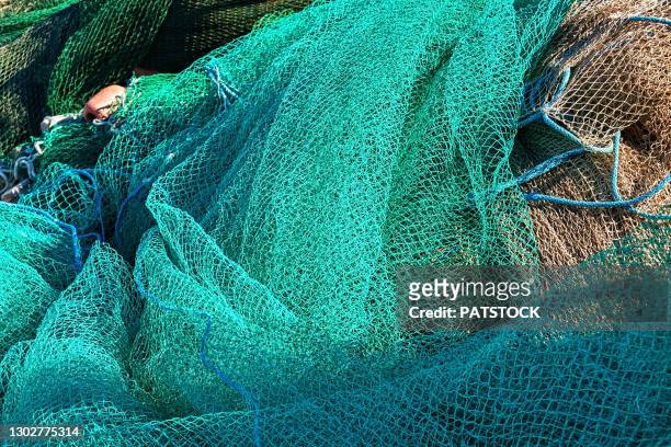 green fishing nets. - kommersiellt fisknät bildbanksfoton och bilder