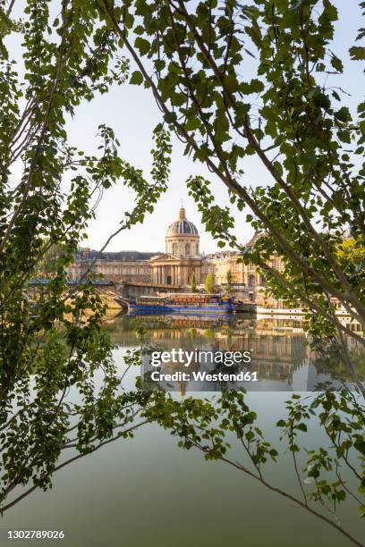 france, ile-de-france, paris, institut de france reflecting in river seine with branches in foreground - musee dorsay 個照片及圖片檔