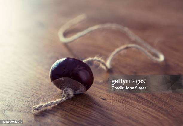 conker on a string on wooden table - horse chestnut photos et images de collection