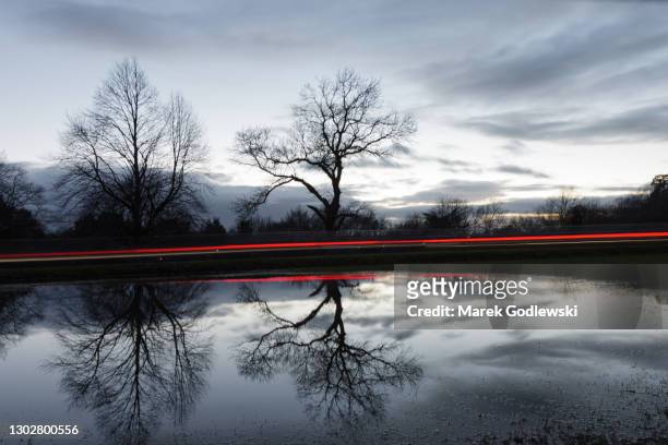 sunset in phoenix park, dublin, trees reflects in water and red light trail across - red light stock pictures, royalty-free photos & images