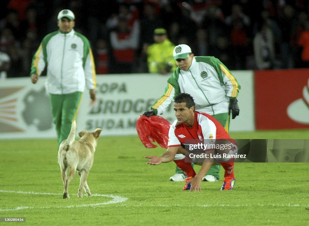 Independiente Santa Fe v Botafogo - Copa Bridgestone Sudamericana 2011