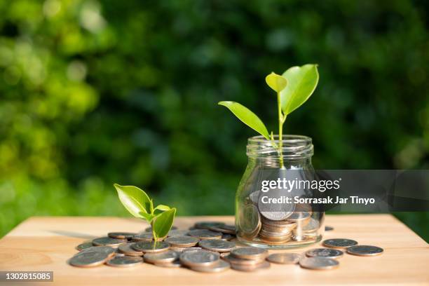 closeup of a coins the jar with plants growing up - evento de beneficencia fotografías e imágenes de stock