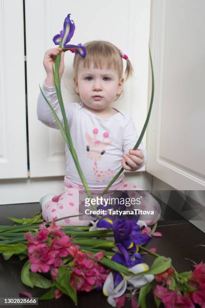 toddler girl at home playing with flowers iris - latvia girls stock pictures, royalty-free photos & images