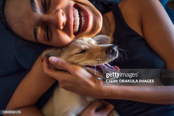 beautiful young woman playing with a puppy - welpe stock-fotos und bilder