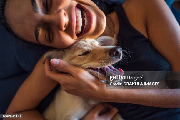 beautiful young woman playing with a puppy - hund bildbanksfoton och bilder