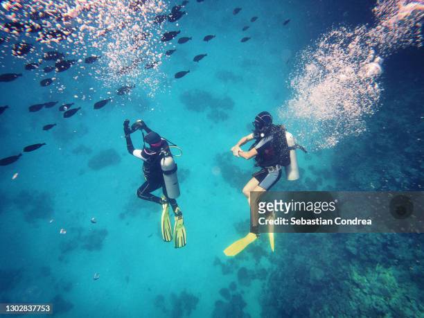 scuba diver near the coral wall, photographing colorful coral reef red sea, hurghada, egypt. - sharm el sheikh stockfoto's en -beelden