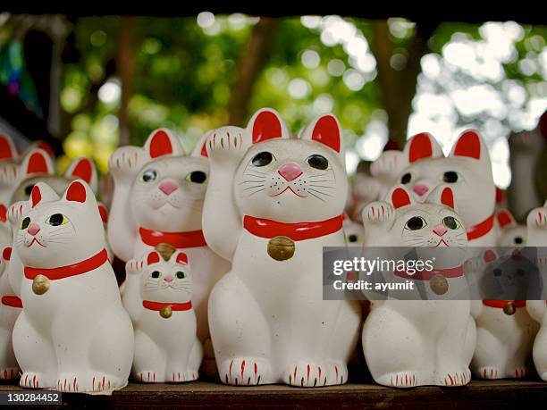 maneki neko - maneki neko 個照片及圖片檔