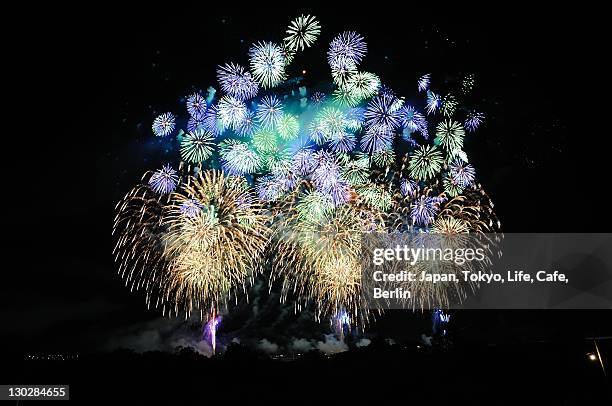 fireworks - 長岡市 個照片及圖片檔