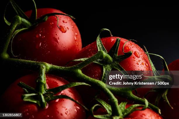 close-up of wet tomatoes against black background - good condition stock pictures, royalty-free photos & images