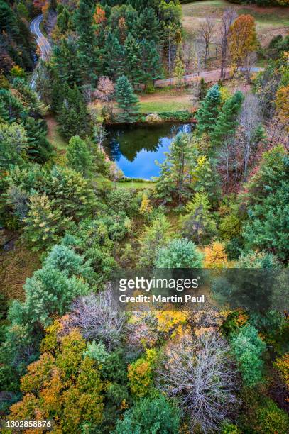aerial view of trees and pond, woodstock, vermont - woodstock and aerial stock pictures, royalty-free photos & images