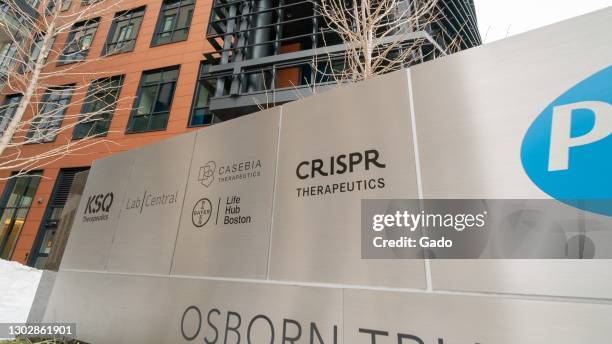 Low-angle view of KSQ Therapeutics, Lab | Central, CASEBIA Therapeutics, Bayer | Life Hub Boston, and CRISPR Therapeutics logos on an Osborn Triangle...