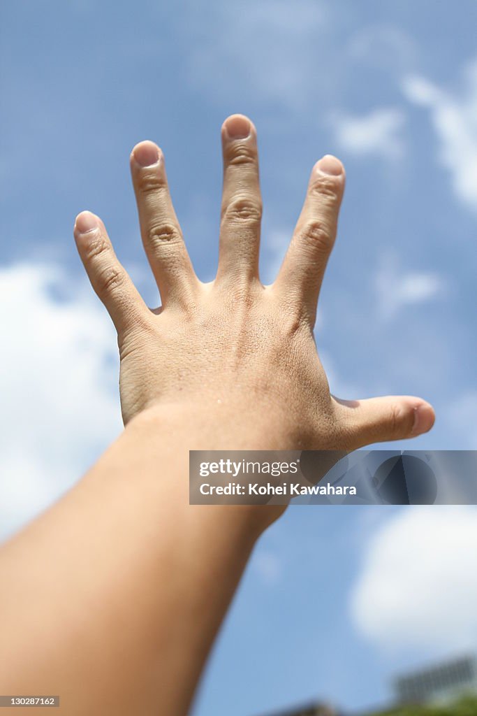 Inhand Back Back Of Hand High-Res Stock Photo - Getty Images