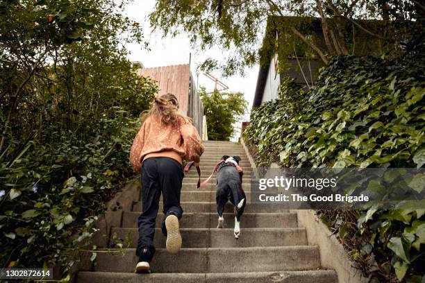 young girl running up steps while walking dog - daily sport girls bildbanksfoton och bilder