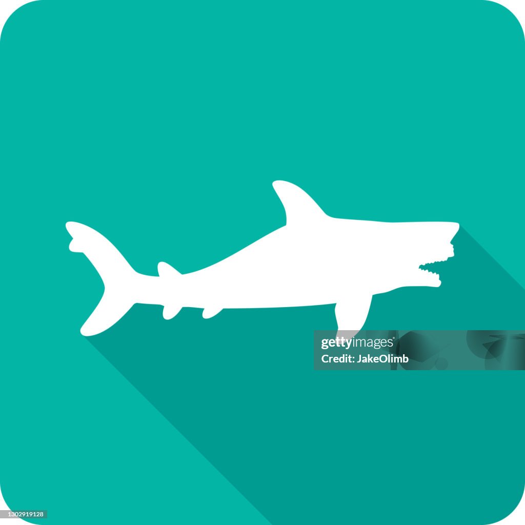 Shark Icon Silhouette 5