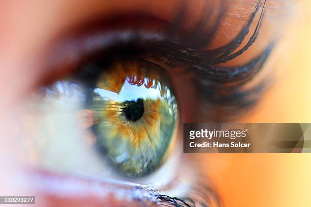 eye, close-up - human eye close up stock-fotos und bilder