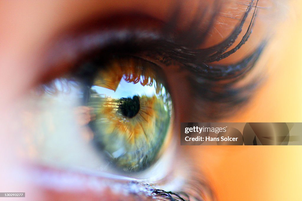 Eye, close-up