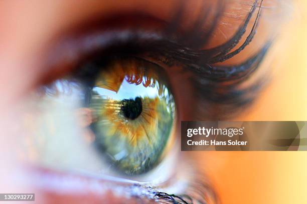 eye, close-up - sensory perception stockfoto's en -beelden