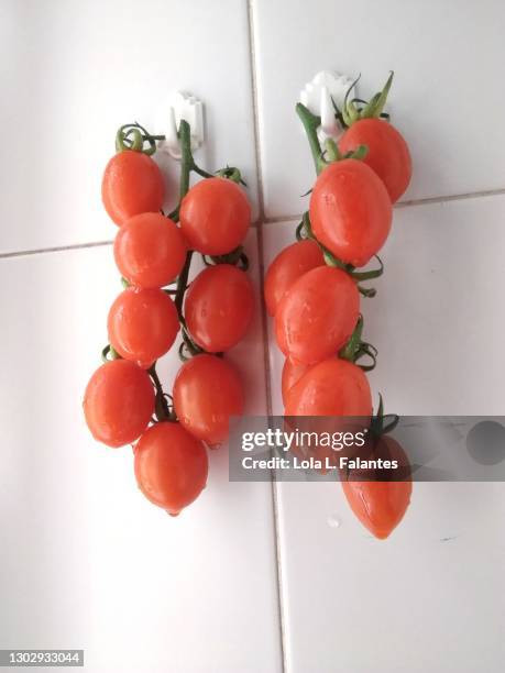 on the vine cherry tomatoes - cherry tomato foto e immagini stock