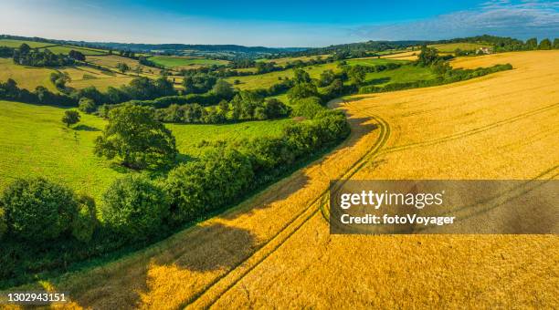 golden wheat fields green pasture idyllic country valley aerial panorama - organic farming stock pictures, royalty-free photos & images