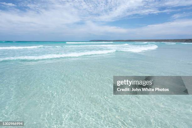pristine ocean seawater. sleaford bay. eyre peninsula. south australia. - porto lincoln - fotografias e filmes do acervo
