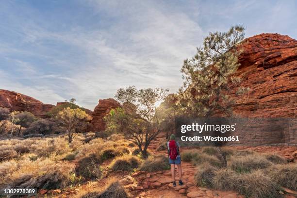 female hiker standing in kings canyon - kings canyon australia stockfoto's en -beelden