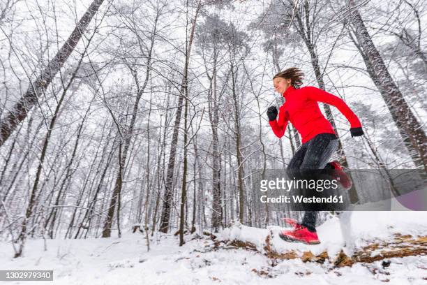 young female athlete jumping over snow covered fallen tree in forest - sportlerin stock-fotos und bilder