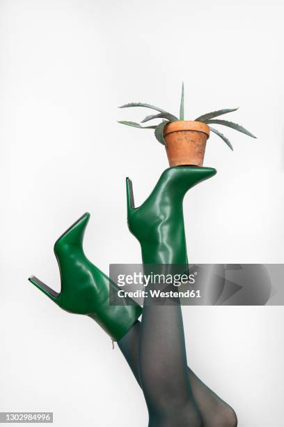 mature woman wearing green colored stiletto balancing cactus plant against white background - cactus isolated stock pictures, royalty-free photos & images