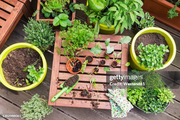 assorted potted plants and gardening tools on balcony - balcony vegetables stock pictures, royalty-free photos & images