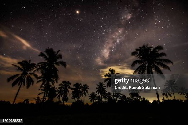 the milky way over coconut tree - imperial system fotografías e imágenes de stock