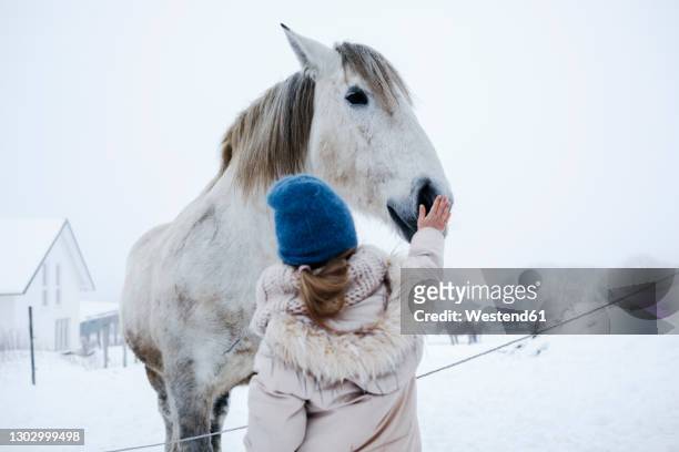 girl in warm clothing stroking horse on snow during winter - the white horse stock pictures, royalty-free photos & images