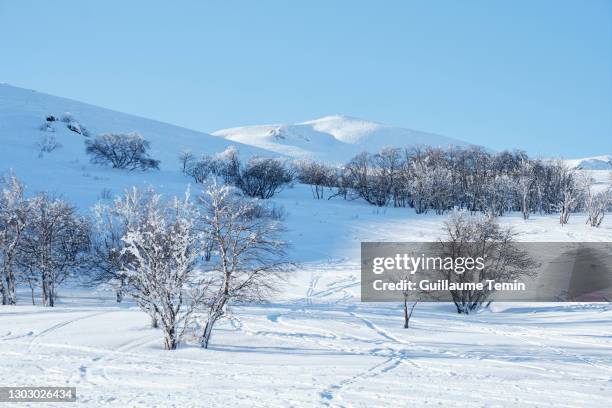 auvergne freeride ski spot landscape - puy de dome photos et images de collection