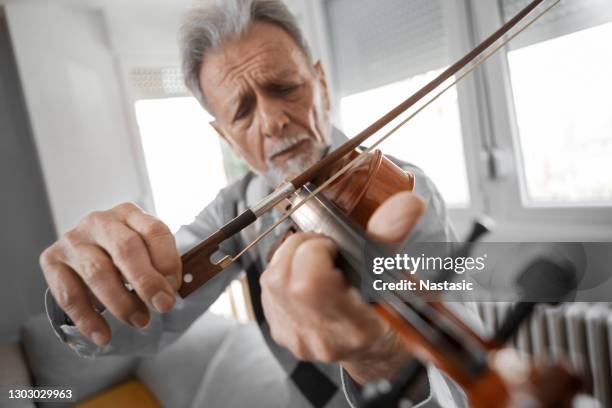 kaukasischer rüde spielt violine - violine stock-fotos und bilder