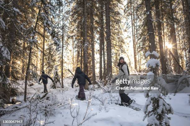 family walks in single file through a snowy forest - family winter sport stock pictures, royalty-free photos & images