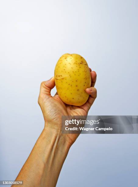 potato on hand in a bright background - batata crua imagens e fotografias de stock