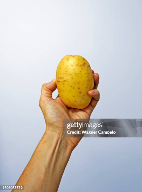 potato on hand in a bright background - rå potatis bildbanksfoton och bilder