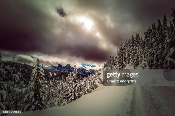 trilha do sapato de neve, parque nacional mount rainier - mt rainier - fotografias e filmes do acervo