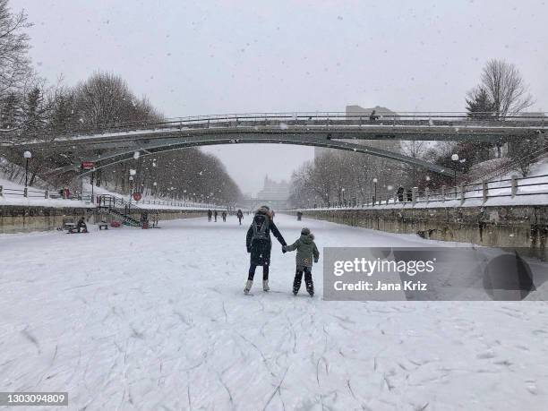 snowing the canada’s capital. view of the snowy rideau canal skateway. an adult and child viewed from the back as they skate towards chateau laurier. - ottawa landscape stock pictures, royalty-free photos & images