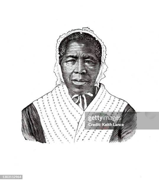 charity still, mother of the american abolition movement - famous women in history stock illustrations