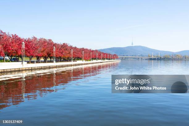 lake burley griffin. canberra. australian capital territory. australia. - lake burley griffin stock pictures, royalty-free photos & images