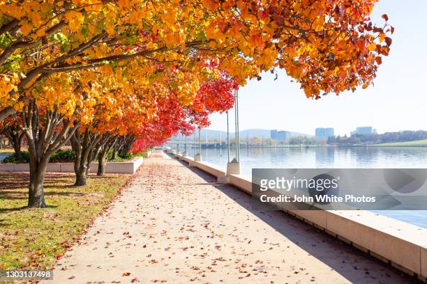 canberra. capital of australia. australian capital territory. australia. - canberra stock pictures, royalty-free photos & images