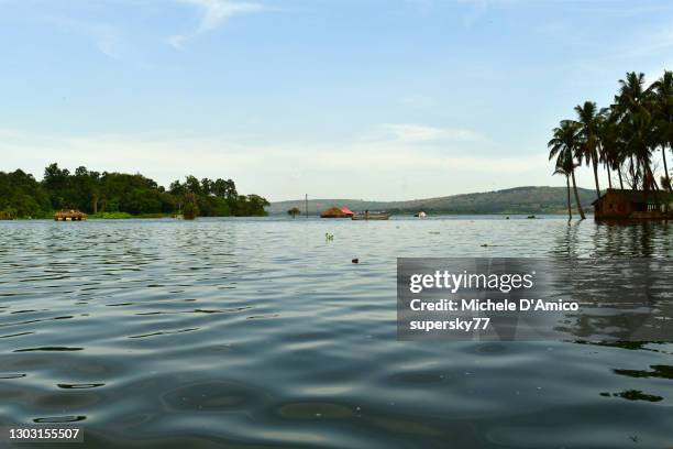 the calm waters of the source of the nile - lake victoria stock pictures, royalty-free photos & images